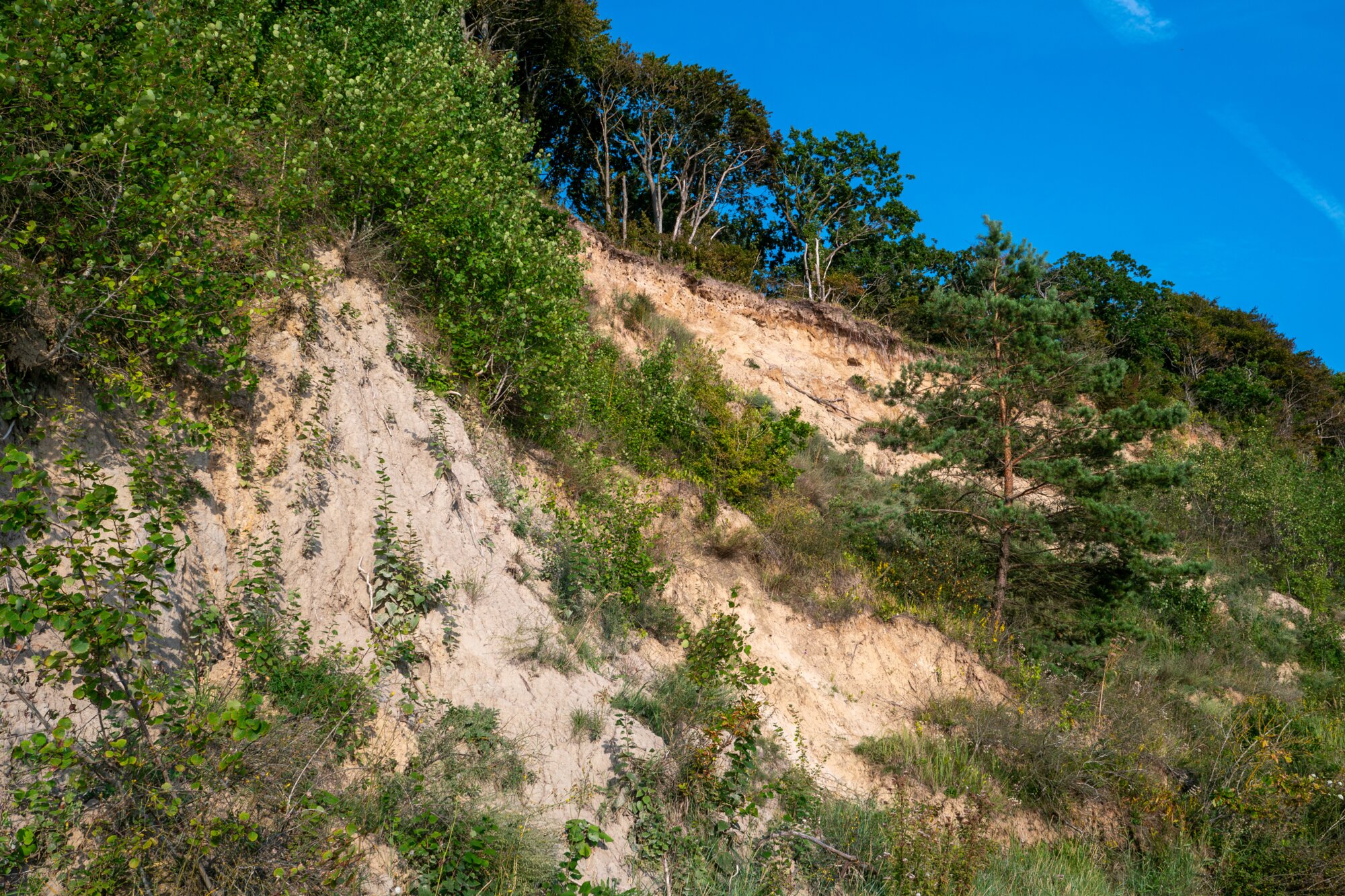 P1013241-Verbessert-RR 