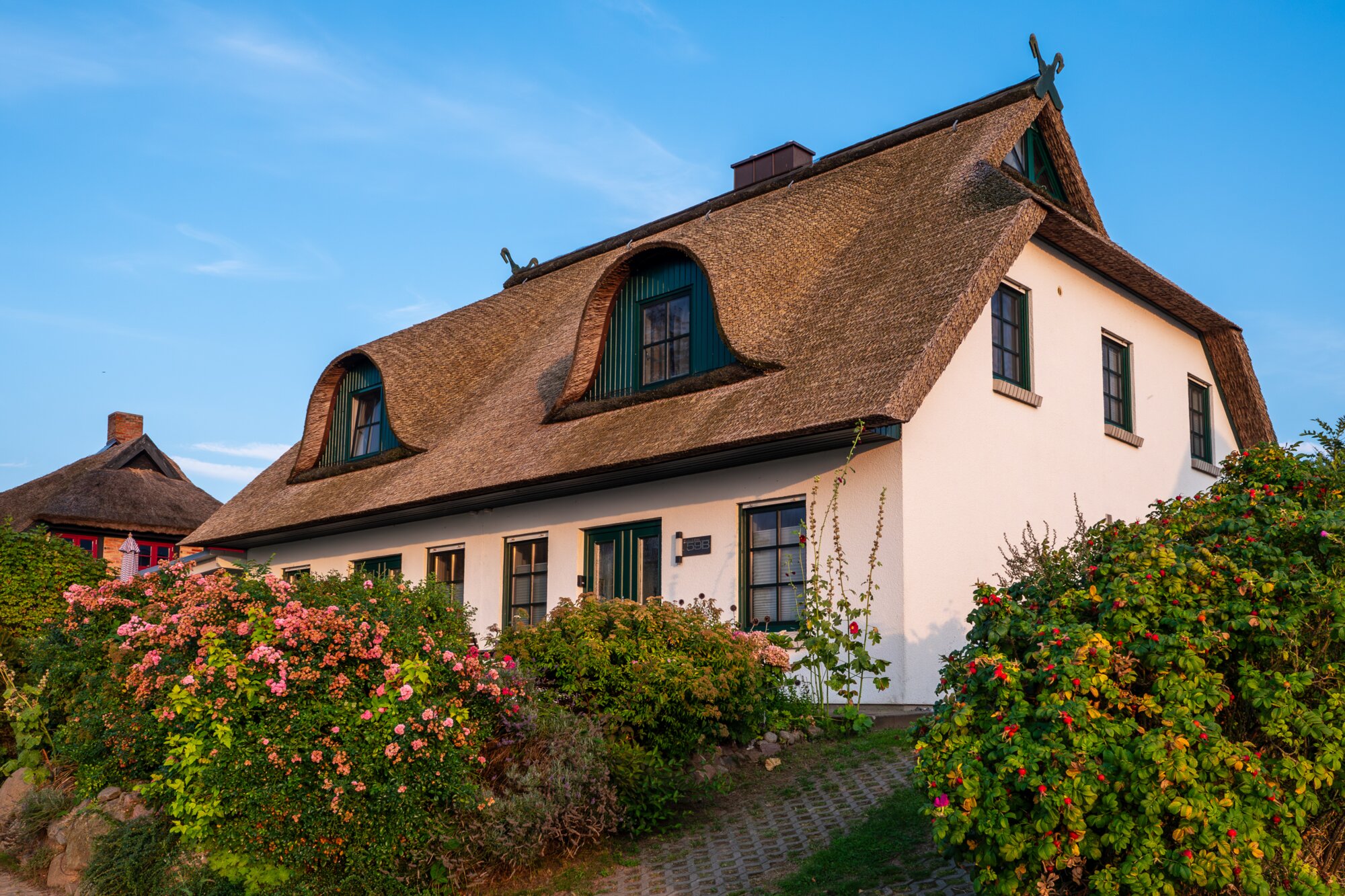 P1013271-Verbessert-RR 