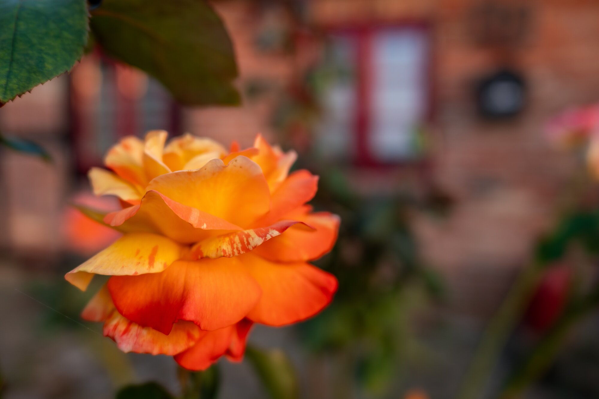 P1013280-Verbessert-RR 