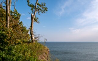 P1013224-Verbessert-RR