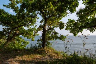 P1013229-Verbessert-RR