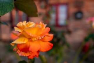 P1013280-Verbessert-RR