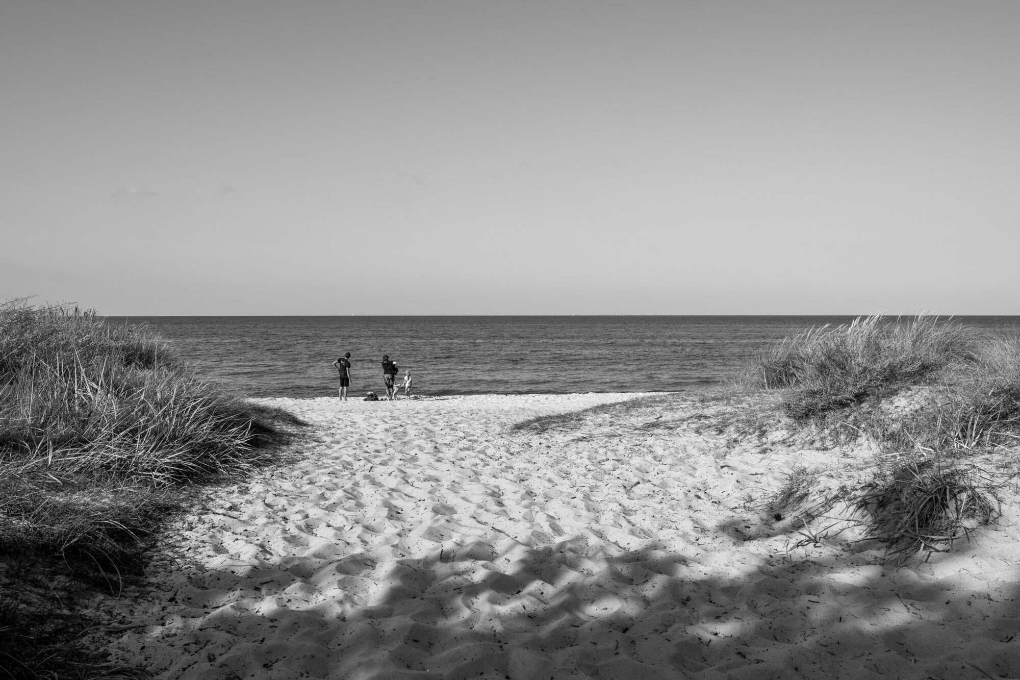 P1013138-Verbessert-RR_edit 