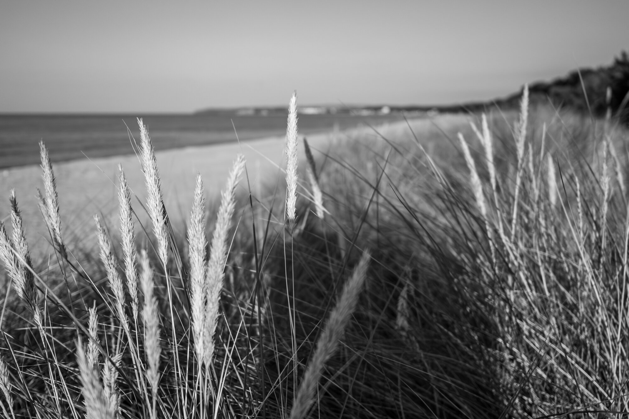 P1013163-Verbessert-RR 