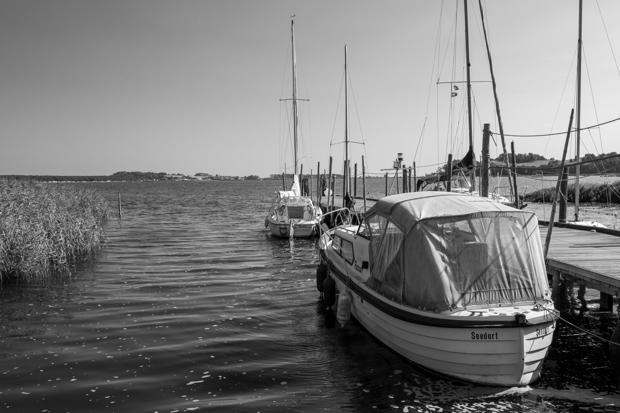 P1013177-Verbessert-RR 