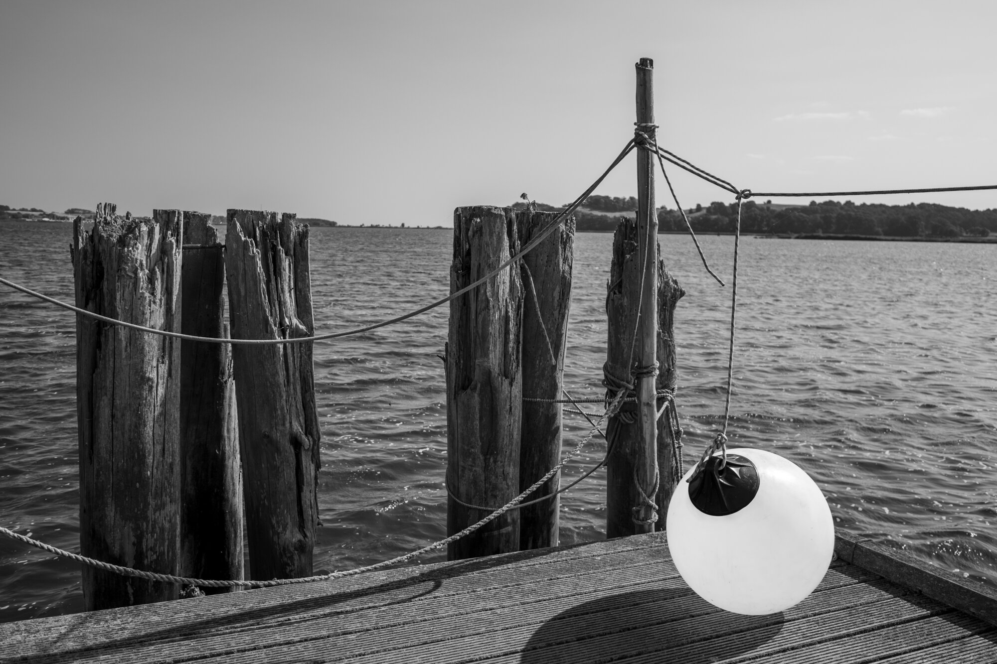 P1013181-Verbessert-RR 