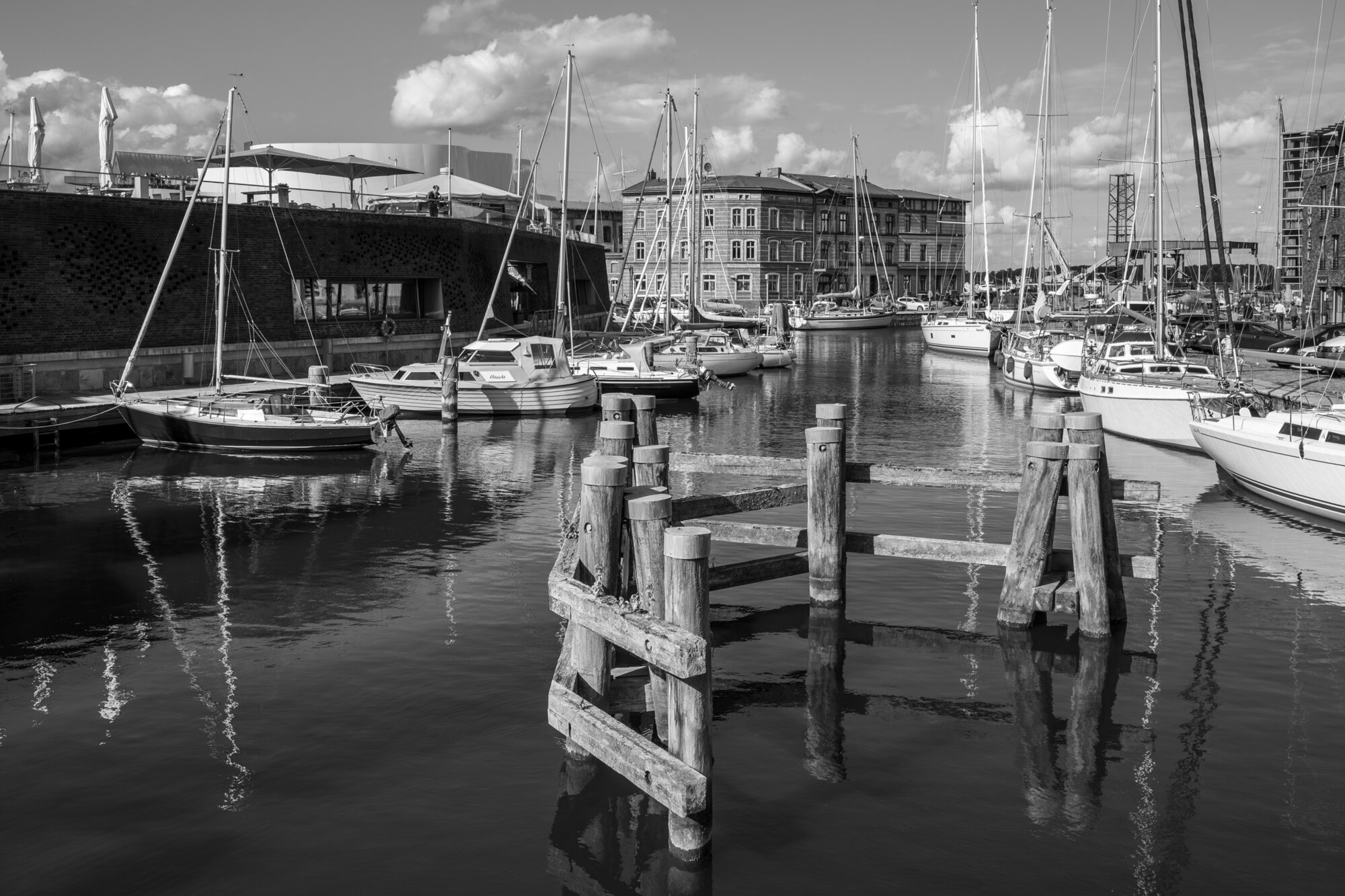 P1013301-Verbessert-RR 