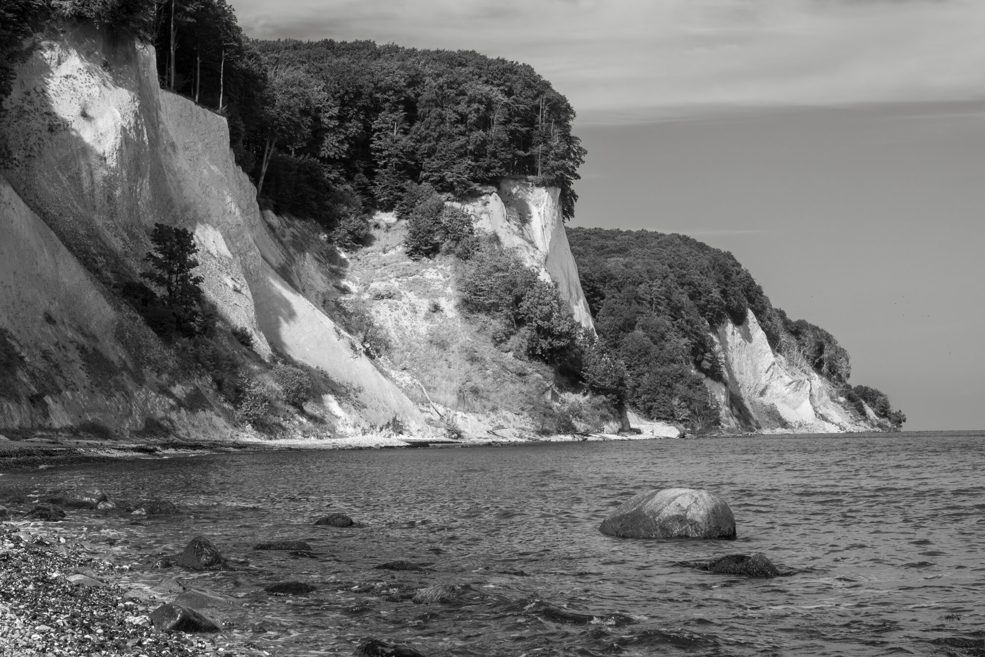 P1024454-Verbessert-RR 