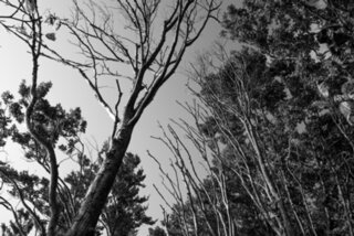 P1013213-Verbessert-RR