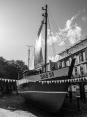 P1013310-Verbessert-RR