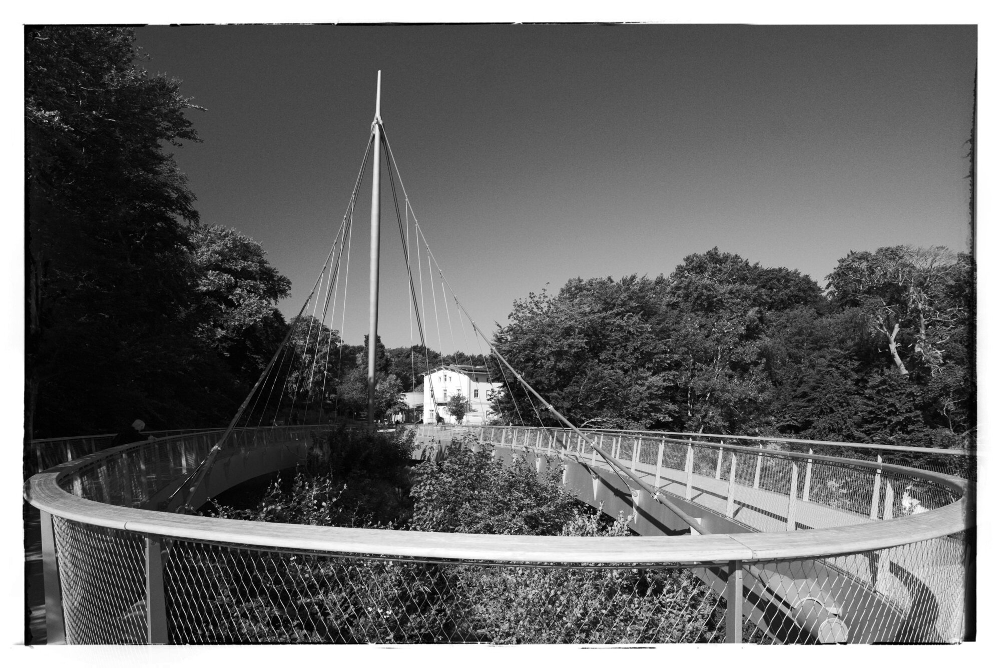 P1016595-01 