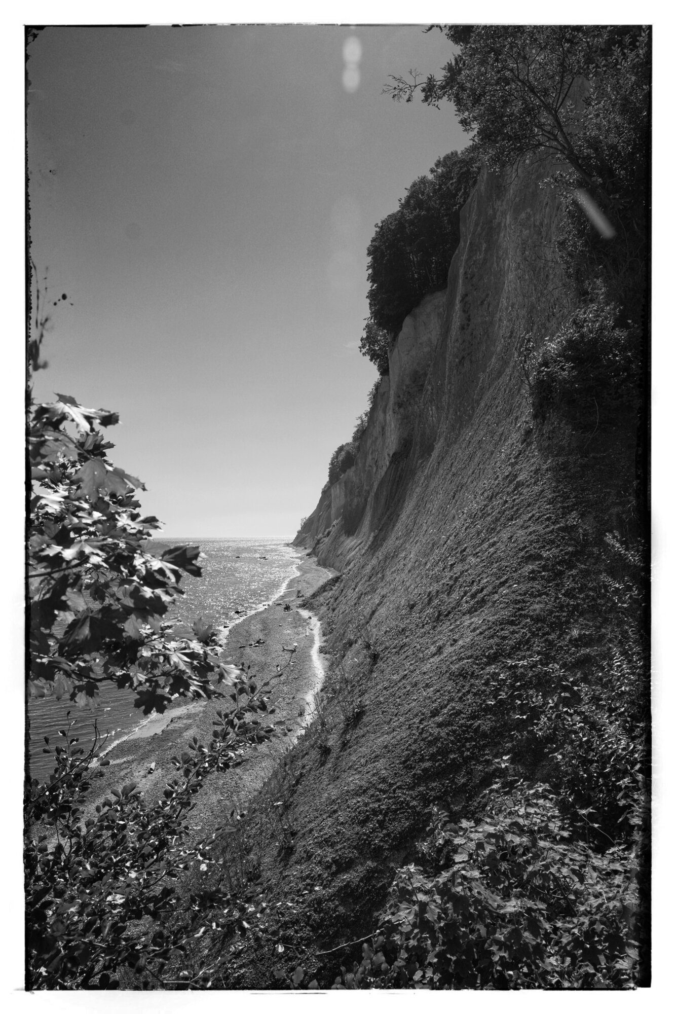 P1016656-01 