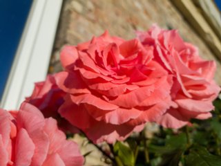 20220810_unbenannt_426
