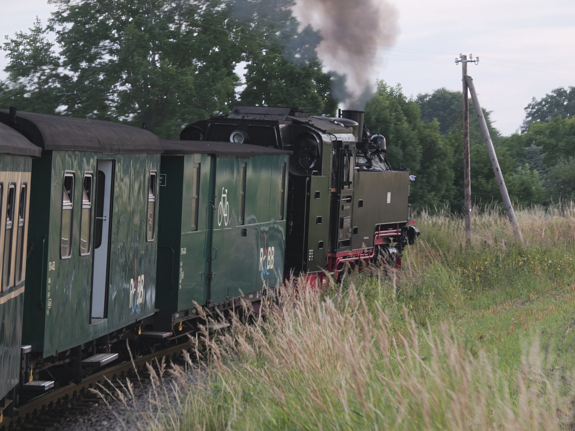 PANA0731_edit-2 