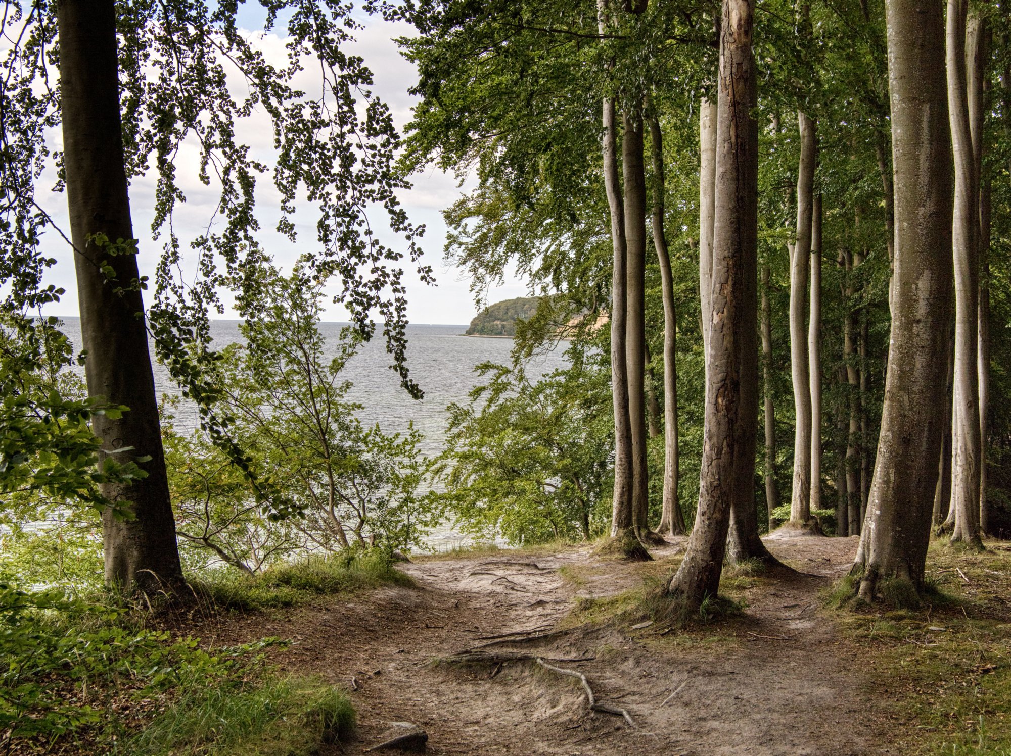 20220807_ruegen_1302_hdr 