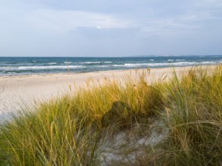 20220815_unbenannt_571