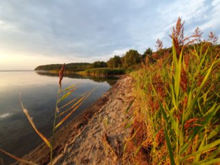 20220815_unbenannt_623