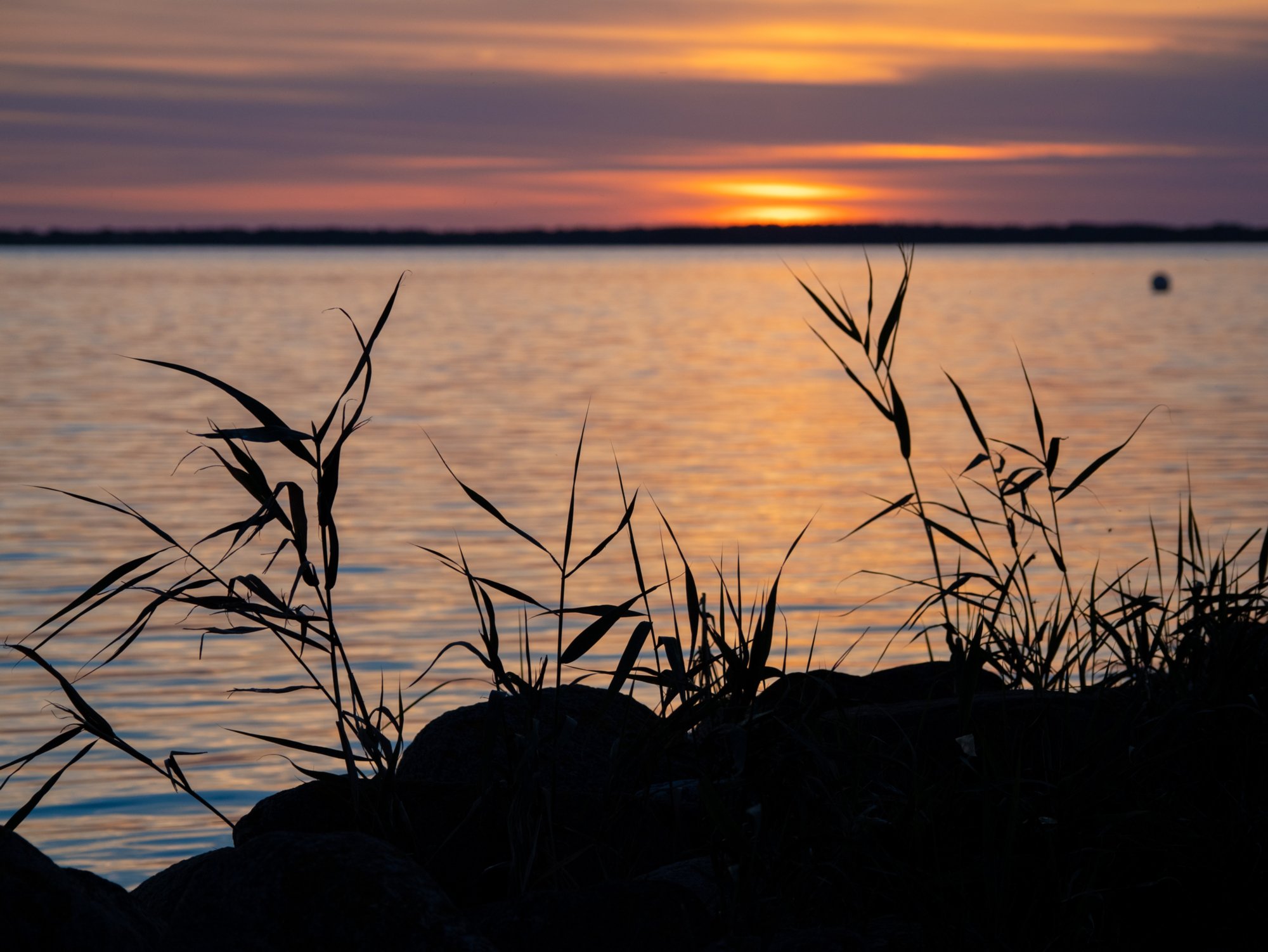20220809_ruegen_1655 