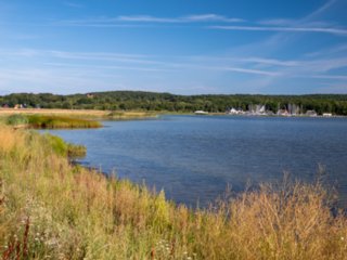 20220809_ruegen_1392