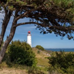 12 Hiddensee