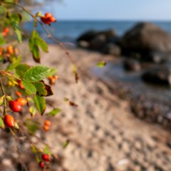Ruegen_2024