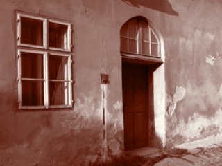sepia049