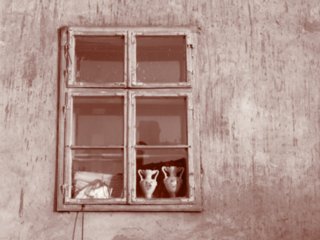 sepia058