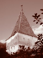 sepia061