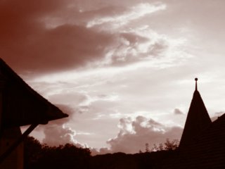 sepia065