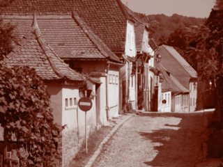 sepia076