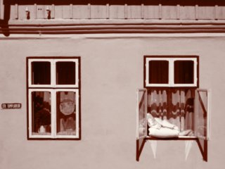 sepia080