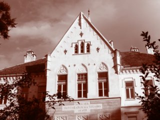 sepia083