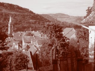 sepia089