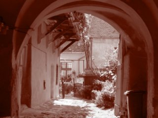 sepia097