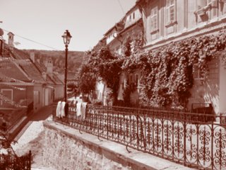 sepia113