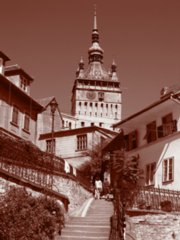 sepia131