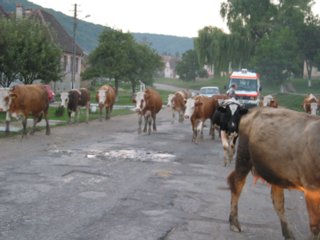 wege09