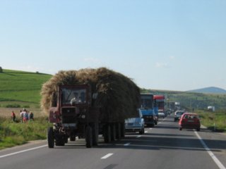 wege11