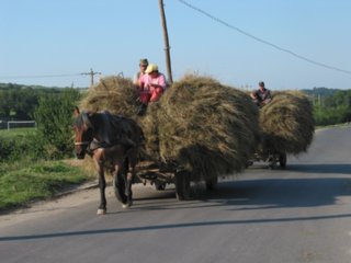 wege19