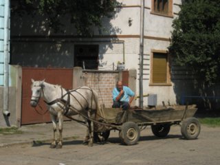wege20