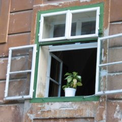 Fenster