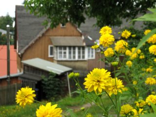 hihedo_0026