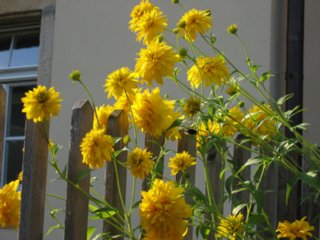 hihedo_0027