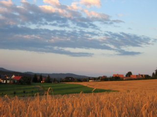 hihedo_0048