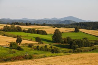 20090818_183035