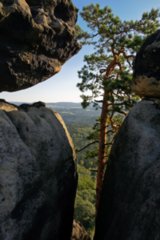 20090820_083406-bearb