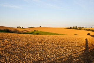 20090823_193459