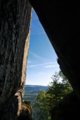 20090824_092317-bearb