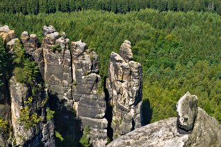 20090824_104157-bearb