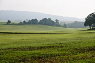 20090827_100424